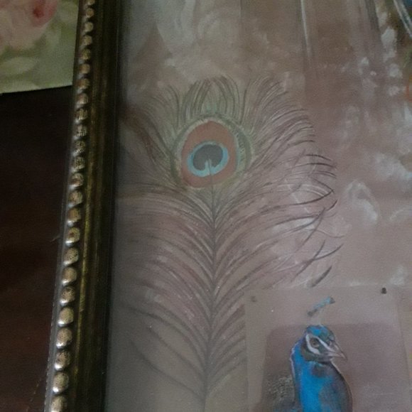 Chad Barrett Art Print of a Peacock - Picture 6 of 8